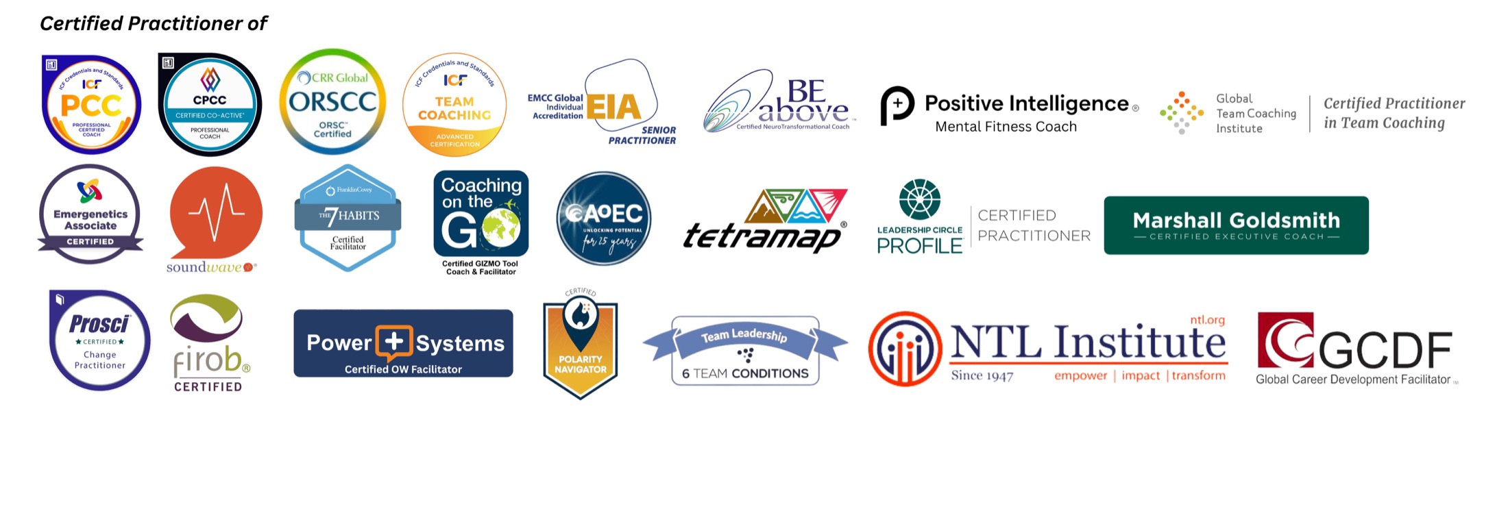 Collection of Jimmy Lee’s professional credential and practitioner certification logos